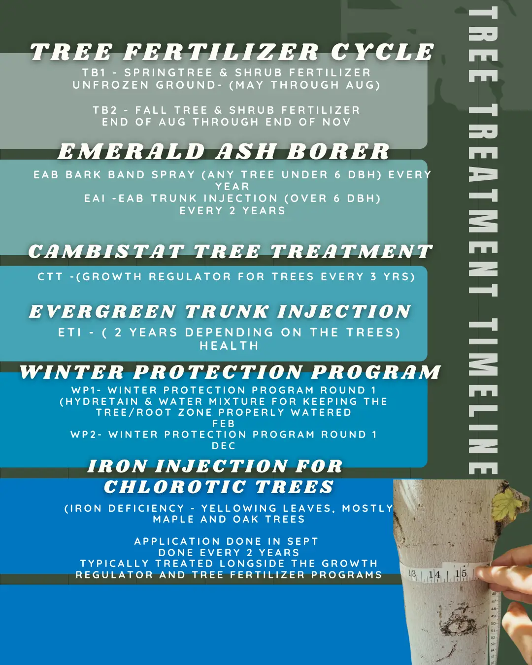 tree-program-info-graphic