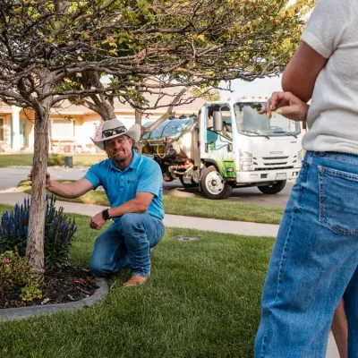 talking-to-homeowner-about-tree-care