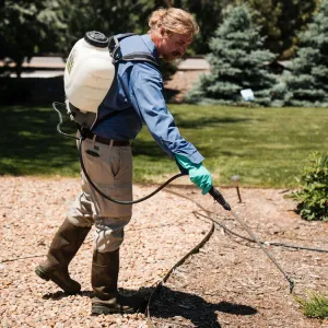 image-spraying-weeds