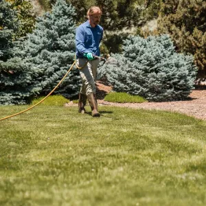 image-technician-spraying-weeds-in-lawn