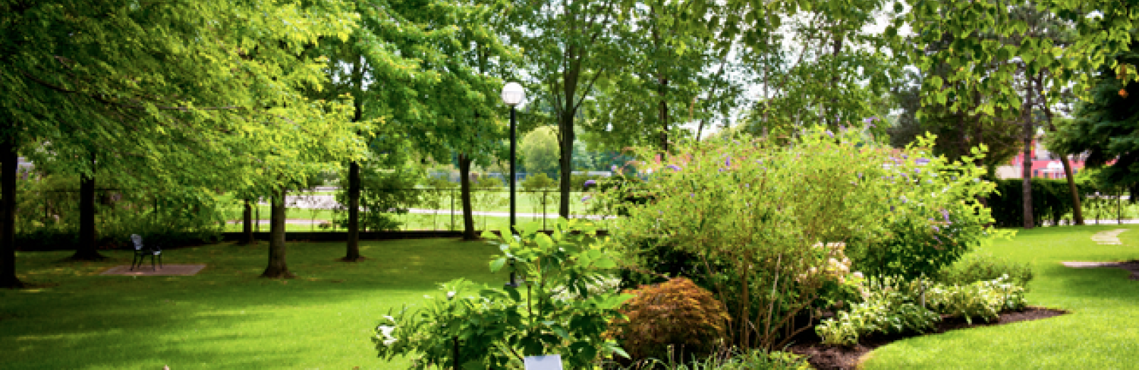 Tree & Lawn Care recap