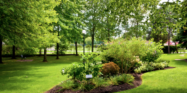 Tree & Lawn Care recap